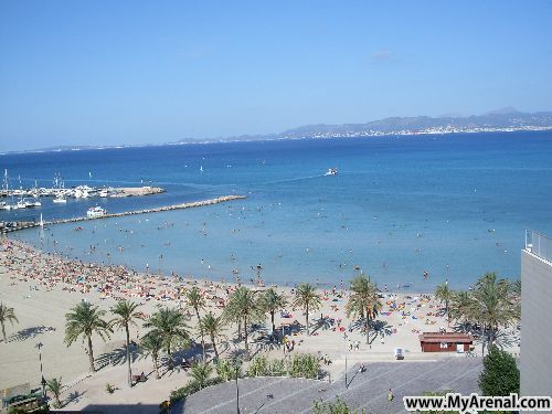 Mallorca Urlaubsbild - von der dachterrasse hotel san diego