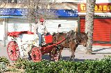 Mallorca, El Arenal - pferdekutsche-am-ballermann