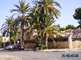 Mallorca, El Arenal - meine-palme