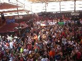 Mallorca, El Arenal - bundesliga-saisonfinale-09-im-bierkoenig